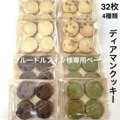 ブルードルフィン様専用ページ