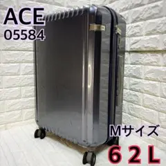 ACE 05584 キャリーケース パリセイドZ Mサイズ 62L TSAロックのサムネイル