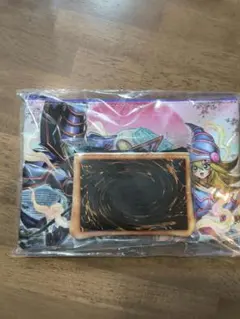 遊戯王 world championship qualifier デッキケース - メルカリ