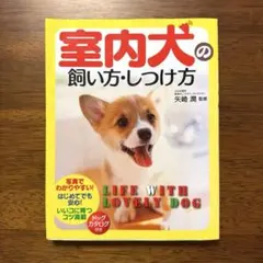 『室内犬の飼い方・しつけ方』 矢崎潤 監修