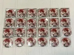 すとぷり 莉犬くん アリツア 後半 等身 缶バッジ 24個 セット まとめ売り