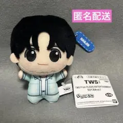 2026年最新】TWS From PLEDIS ENTERTAINMENTの人気アイテム - メルカリ
