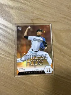 2014 BBM 大谷翔平 Limitless Hope カード