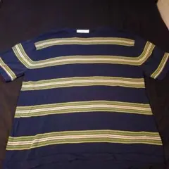 INHERIT ストライプ Tシャツ