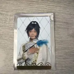 刀ミュ　十周年祝賀祭　ランダムふぉとカード　大和守安定