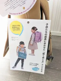 Item thumbnail for item 95ed1275-0252-4e61-8a53-cf9646ee3cd5