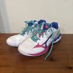 レアカラー！MIZUNO WAVE CLAW NEO 2 バドミントン 22.5 - メルカリ