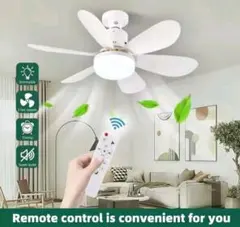 Item thumbnail for item 313f6217-d60a-47da-ba93-47a934e20424