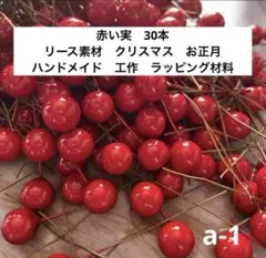 watanabe nouen様 リクエスト 2点 まとめ商品