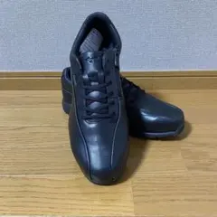 【新品】ミズノ ウォーキングシューズ ゴアテックス