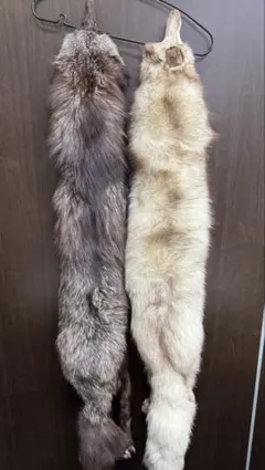 狐のマフラー、フォックスリアルファーマフラー、ショール 【剥製