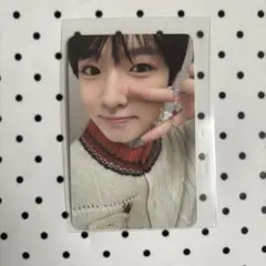 NCTWISH サクヤ　steady トレカ