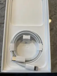 Apple USB-C to Lightningケーブル（1m）