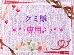 クミ様 リクエスト 3点 まとめ商品