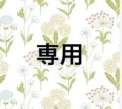 HELLOOON ♪・:*様 リクエスト 3点 まとめ商品