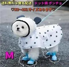 Item thumbnail for item c2a0908f-c875-4cc5-b8fe-8313408fb630