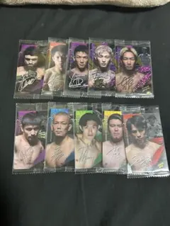 Item thumbnail for item 2cb29a64-f214-4a09-a58e-8d008c0a6ef3