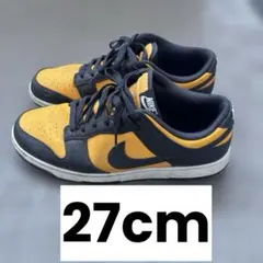 NIKE DUNK LOW ダンクロー レトロ HF5441-700のサムネイル