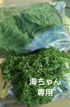 Item thumbnail for item 1061e65c-62d4-47bc-ad76-815520dbe19b