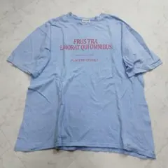 訳あり　Tシャツ　古着　水色　綿100 　フリーサイズ