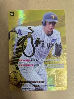a*y様 ドリームオーダー 今井達也 SSP UR SRまとめ売り - メルカリ