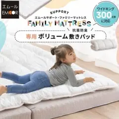 新品未開封 夢グループ 超極厚電動エアーベッド ダブル 46cm 厚型 爆速