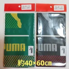 Item thumbnail for item acdef863-7f41-458f-bbbd-df89f9762bfb