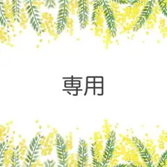 ＊Ｍ様専用＊