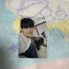 ENHYPEN アンケートトレカ　ジョンウォン