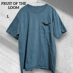 フルーツオブザルーム Tシャツ 無地 クルーネック 半袖 ポケット L 青 綿のサムネイル