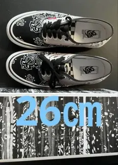 Vans Vault x Bedwin & The Heartbreakersのサムネイル