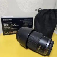 2025年最新】LUMIX G VARIO 100-300の人気アイテム - メルカリ