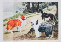 はぎれ　犬　9.5×13.5　コットン　ミニパネル生地　プリント生地　チェコ