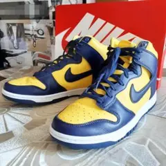 k*i様 【未使用品】NIKE DUNK HI RETRO ナイキ ダンク 29 - メルカリ