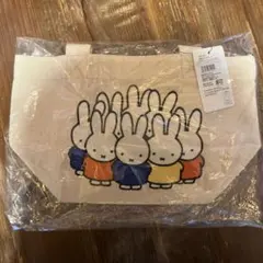 Item thumbnail for item c95368ff-d109-4f3a-8fb5-35b12881a97d