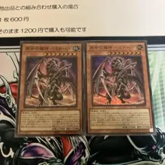 星因士様 リクエスト 2点 まとめ商品