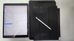 Pencil付iPad Pro12.9インチ第2世代256GBセルラー