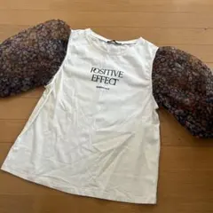 Item thumbnail for item 5e61c732-cd41-4b6b-931c-7380cdc59032