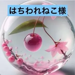 。。専用。。