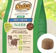 Item thumbnail for item 0576f642-c699-4cad-a05e-9484ad162ada