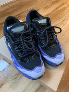 2025年最新】adidas ラフシモンズ OZWEEGOの人気アイテム - メルカリ