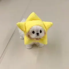 ☆らら様専用☆