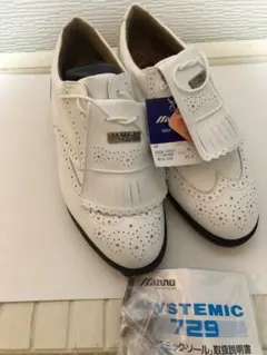 2026年最新】MIZUNO GOLF ゴルフ シューズ(男性用)の人気アイテム