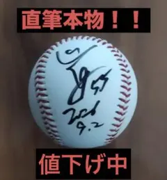 ⭐︎東北楽天イーグルス⭐︎ 野村克也 元監督 直筆サインボール ロゴ球