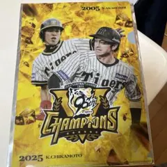 阪神タイガース　優勝記念　クリアファイル　近本光司　赤星憲広