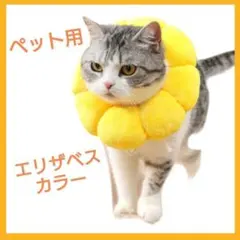 Item thumbnail for item 805832e5-98e8-41f8-a818-67b223d2c718