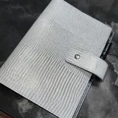 Item thumbnail for item dd41dafc-b7f9-411e-849e-59777e99fe0c