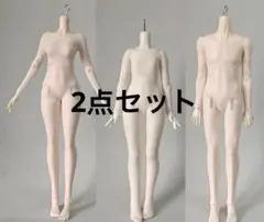 ホットトイズ サラコナー、アビゲイル 女性素体 2体セット ホットトイズ サラコナー、アビゲイル 女性素体 2体セット - メルカリ