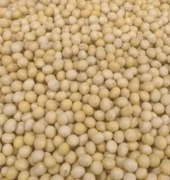 ココママ様専用　2キロ