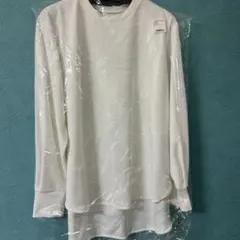 Item thumbnail for item e395cfcb-8efb-4791-9f19-a2f2912c3eb4